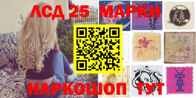 крисы Дубна