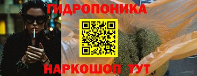 крисы Дубна
