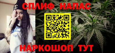 крисы Дубна