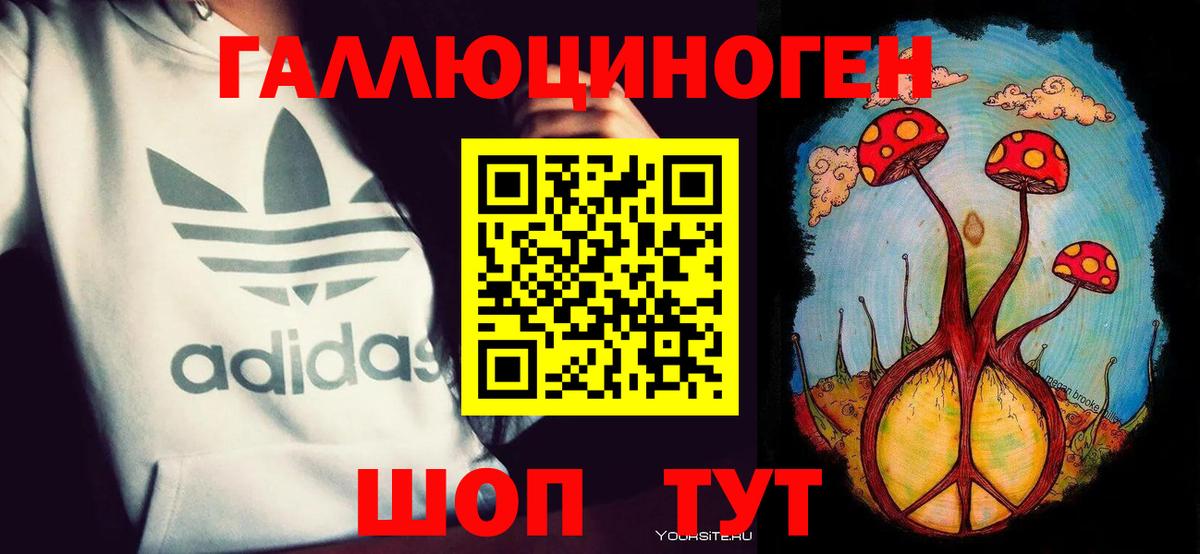 Псилоцибиновые грибы Cubensis Лесосибирск