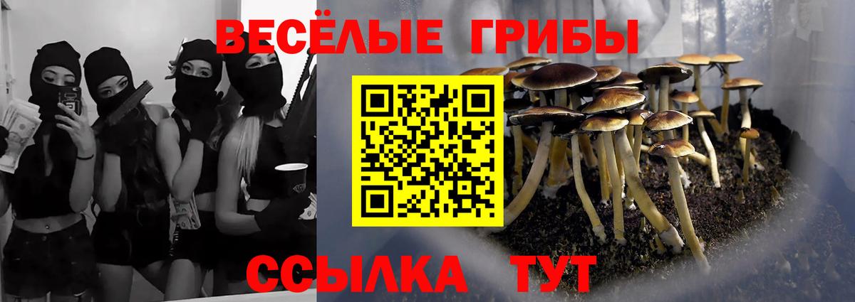 Псилоцибиновые грибы MAGIC MUSHROOMS  Вход с VPN  наркотики  Лесосибирск 